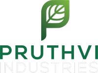 pruthvi_logo