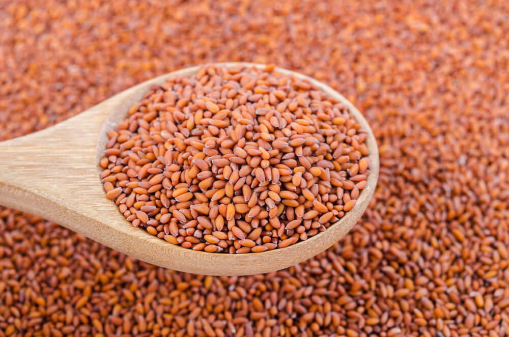 Asaliya Seeds