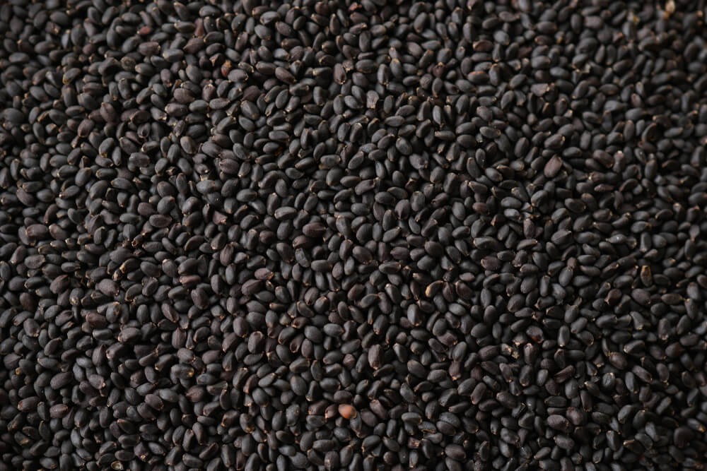 Basil Seeds