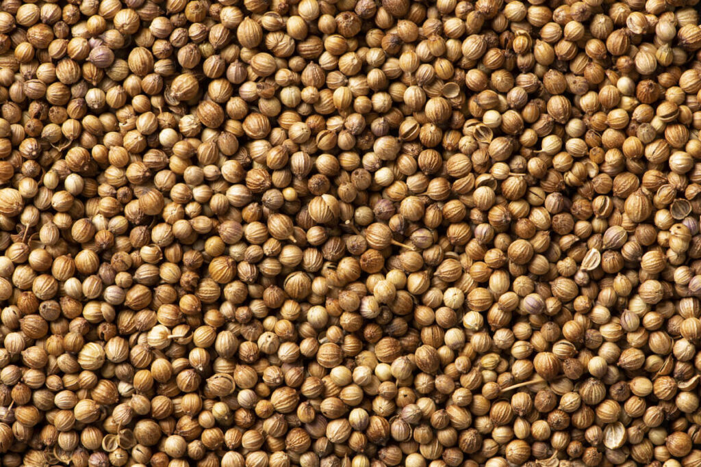 Coriander Seeds