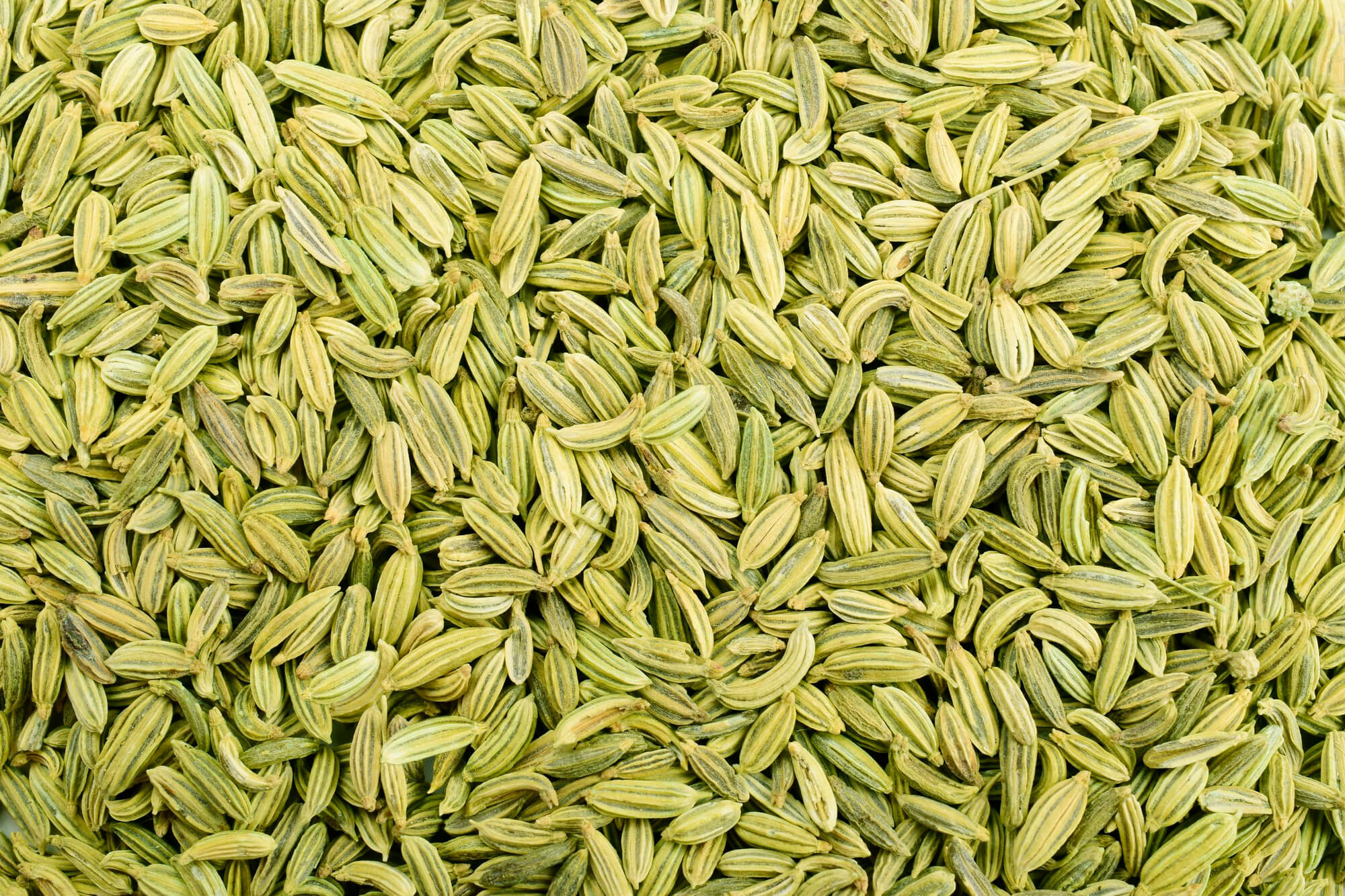 Fennel Seeds