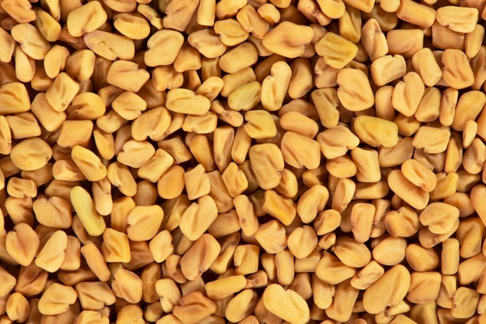 Fenugreek spice