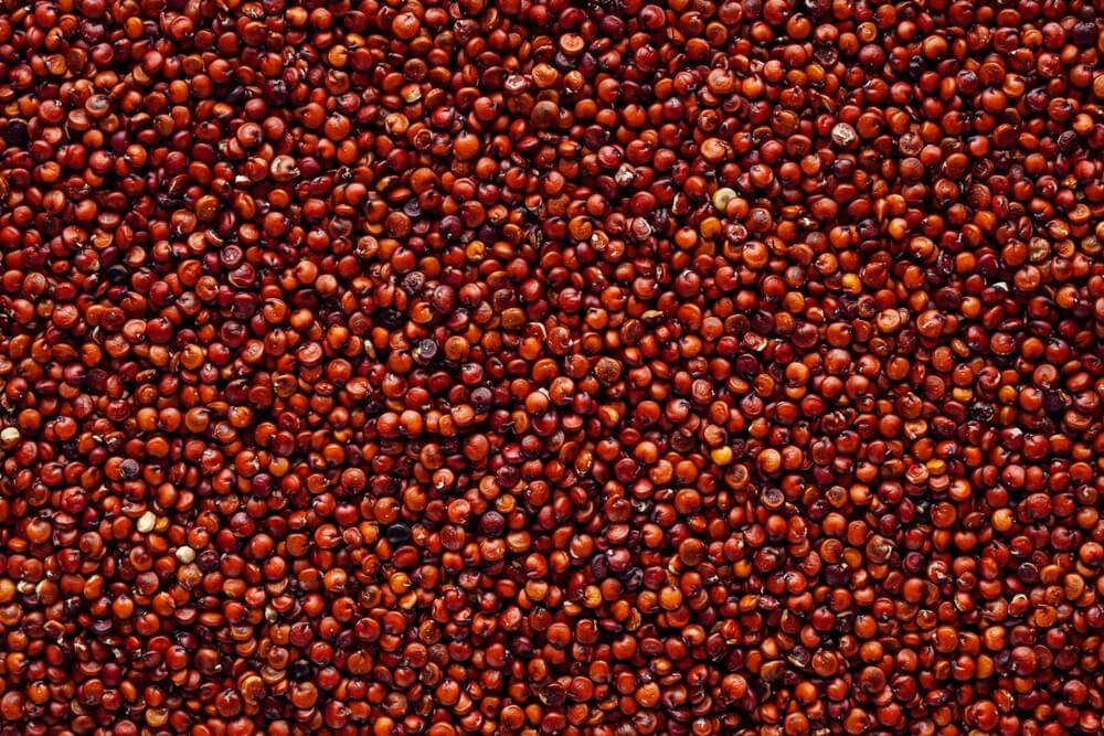 Red Quinoa Seeds