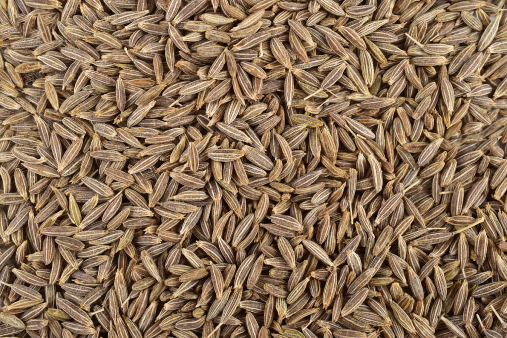 cumin-seeds