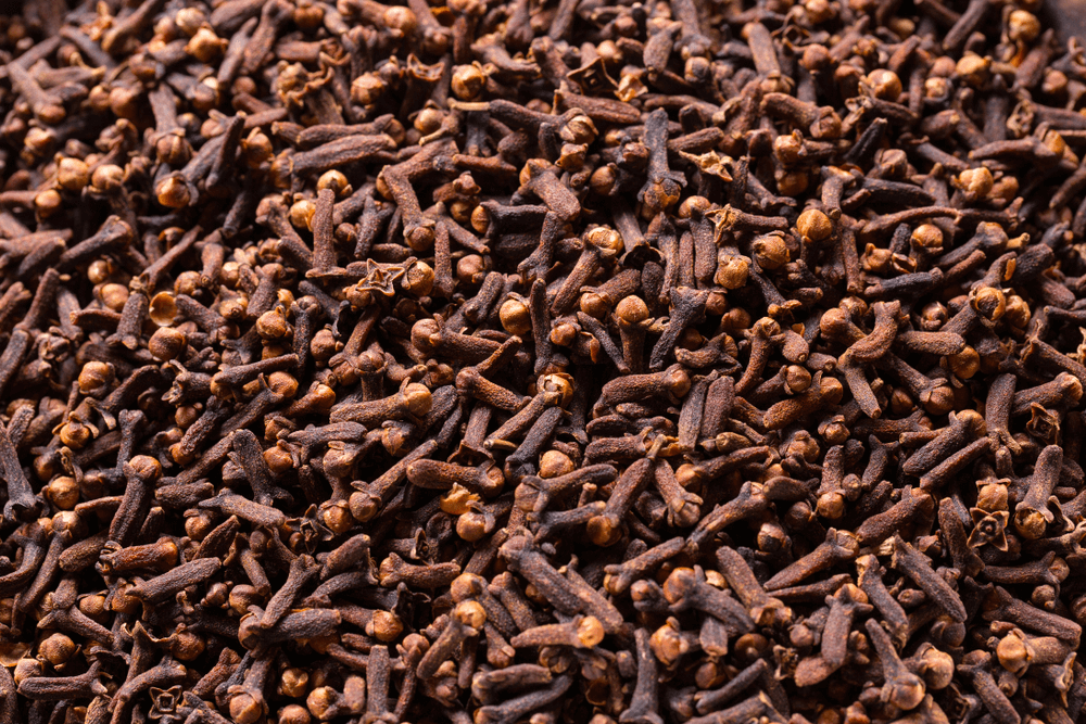 dried clove herb